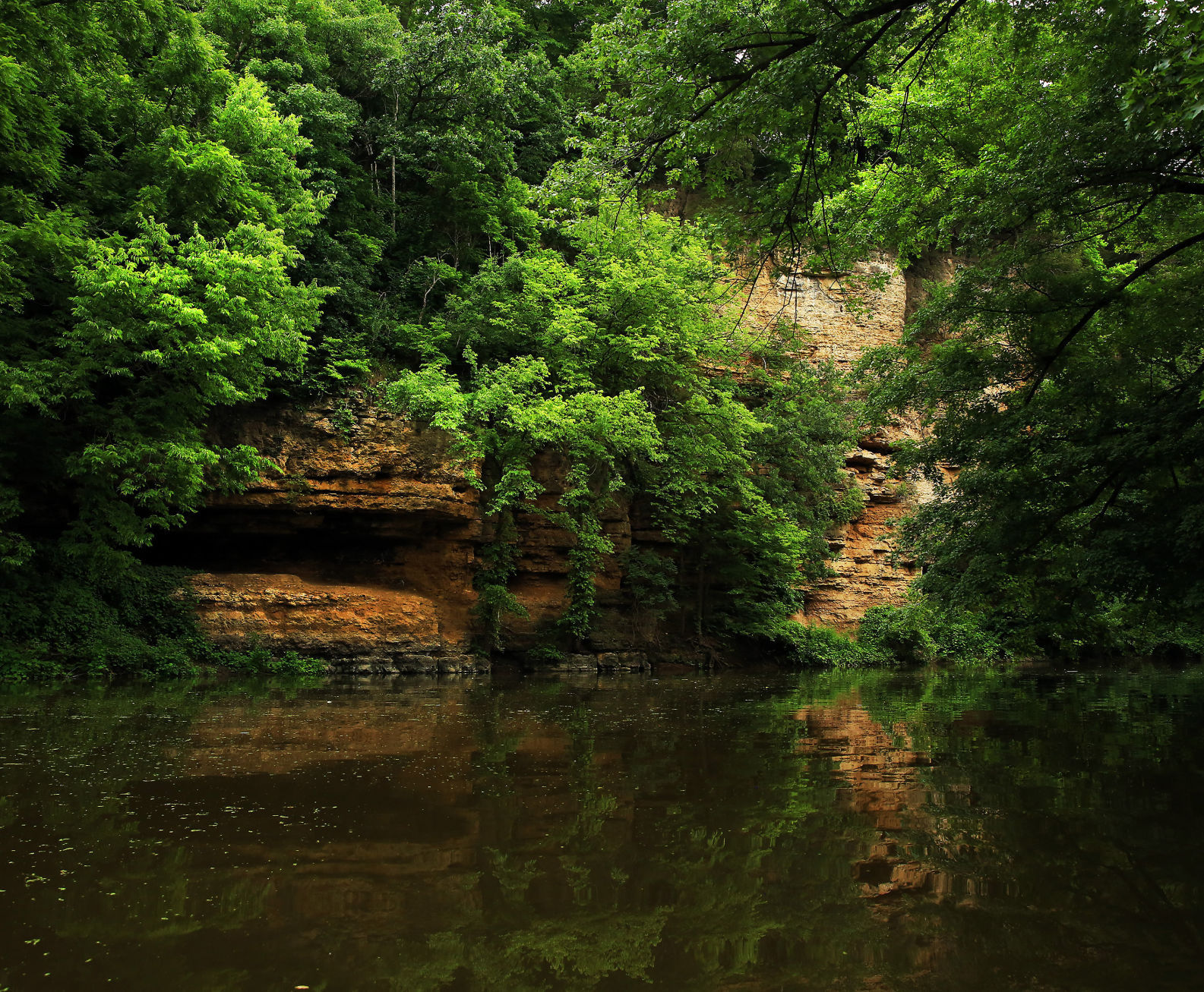 THE GREAT RIVER-0452